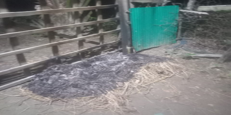 নোয়াখালীতে স্বতন্ত্র প্রার্থীর প্রধান সমন্বয়কের বাড়িতে ককটেল ফাটিয়ে অগ্নিসংযোগ