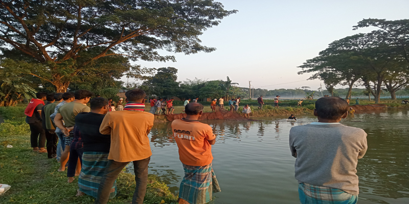গৌরীপুরে বিষ প্রয়োগে লক্ষাধিক টাকার মাছ নিধন