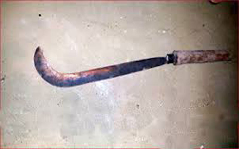 ভালুকায় জমি সংক্রান্ত জেরে বড় ভাইয়ের ধারালো দাউয়ের কোপে ছোট ভাই নিহত