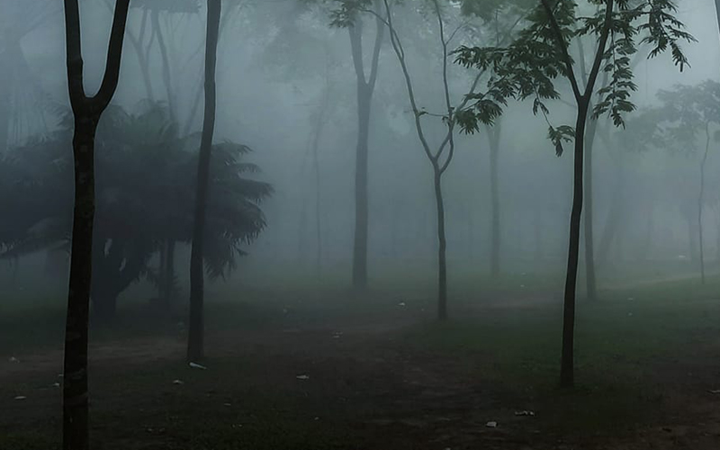 বাড়তে পারে শৈত্যপ্রবাহ, হতে পারে বৃষ্টি: আবহাওয়া অফিস