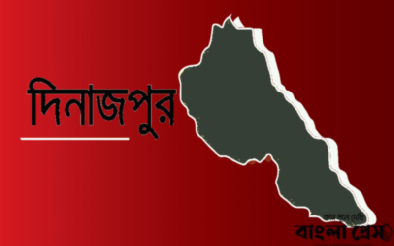 দিনাজপুরের চিরিরবন্দরে স্কুলছাত্রীকে উত্ত্যক্ত করায় দুই যুবকের কারাদণ্ড