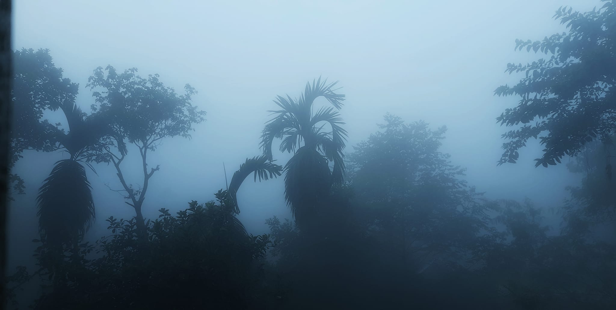 শীত নিয়ে নতুন তথ্য দিলো আবহাওয়া অফিস