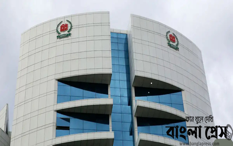 কোন উপজেলায় কবে ভোট
