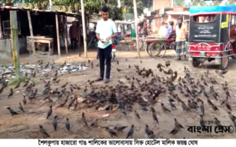 হাজারো গাঙ শালিকের ভালোবাসায়  সিক্ত হোটেল মালিক জয়ন্ত ঘোষ