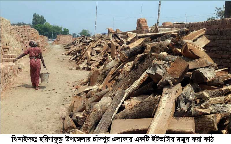 হরিণাকুন্ডু উপজেলার ১৮টি অবৈধ  ইটভাটা চলে কি ভাবে ?