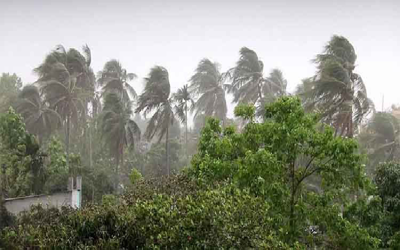 তিন বিভাগে ঝড়ো হাওয়াসহ বৃষ্টির পূর্বাভাস