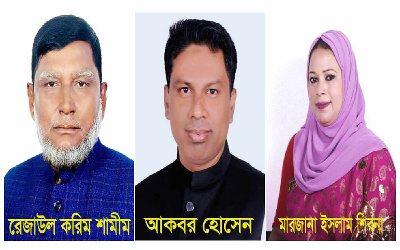 জামালগঞ্জ উপজেলা নির্বাচনে বিজয়ী হলেন শামীম