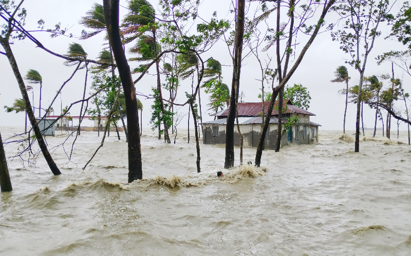 চোখের সামনে ভেসে গেল ২ হাজার গবাদিপশু ও ১০ দোকান