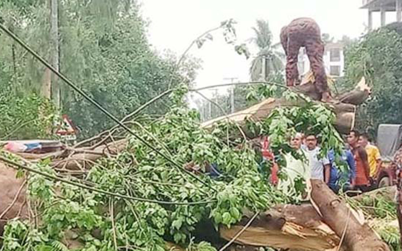 কালবৈশাখী ঝড়ে লণ্ডভণ্ড দিনাজপুর