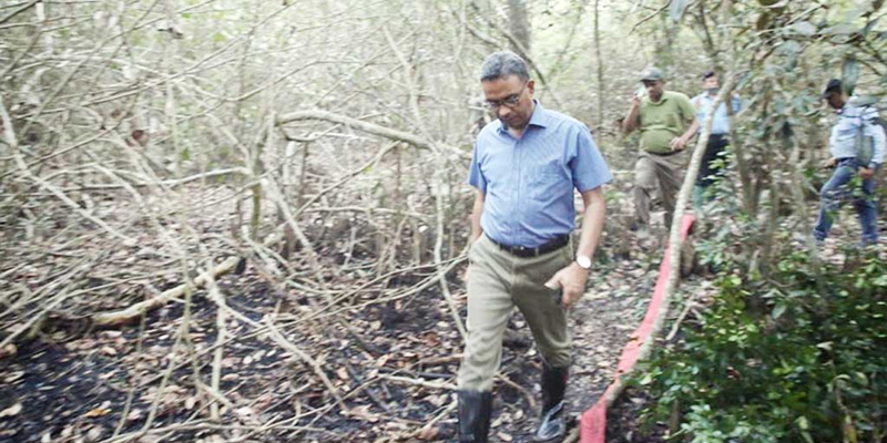 সুন্দরবনে আগুনে ক্ষতি নির্ণয়ে কাজ করছে বিশেষজ্ঞ টিম