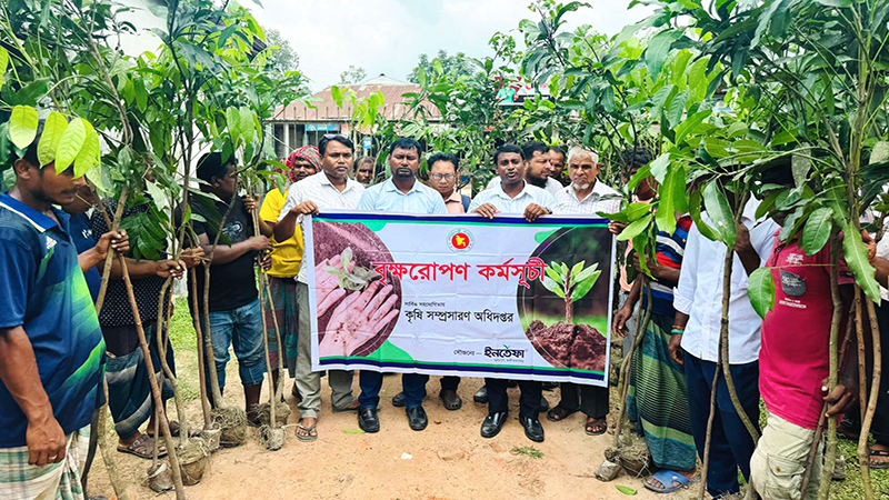 রুহিয়ায় ফলদ ও বনজ জাতের চারা বিতরণ