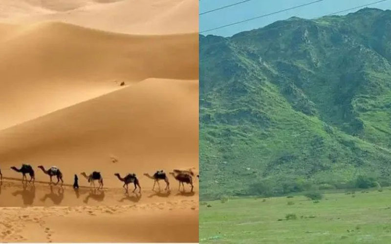 সাহারা মরুভূমি সবুজের রূপ নিচ্ছে
