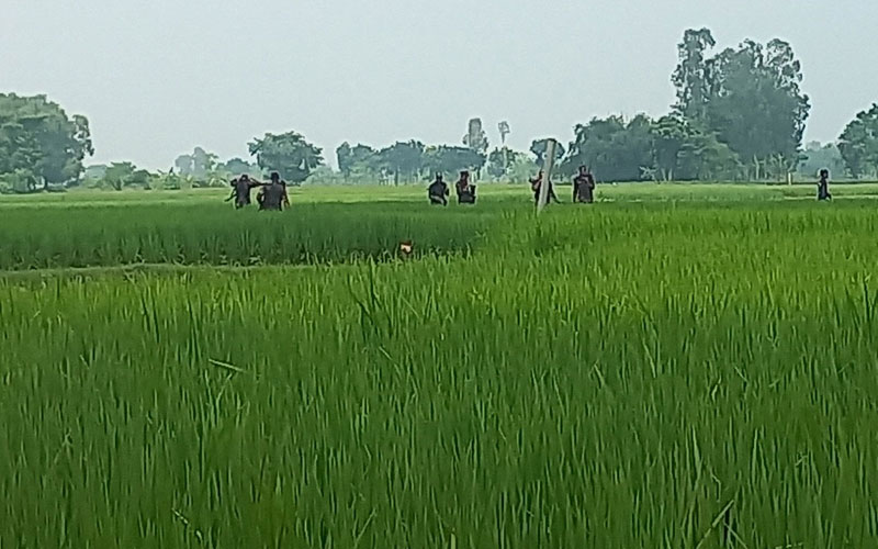 সীমান্তে বিএসএফের কাঁটাতারের বেড়া নির্মাণের চেষ্টা, বাধা বিজিবির