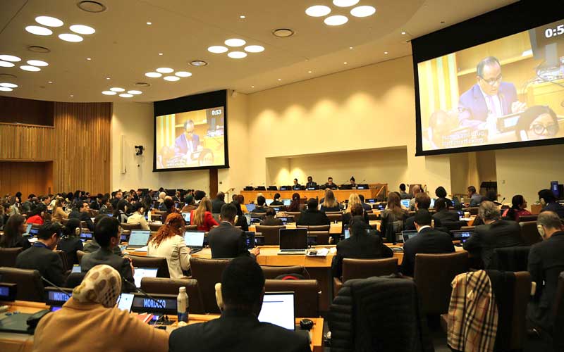 আগামী বছর জাতিসংঘে রোহিঙ্গা সংকটের টেকসই সমাধানে উচ্চ পর্যায়ের সম্মেলন