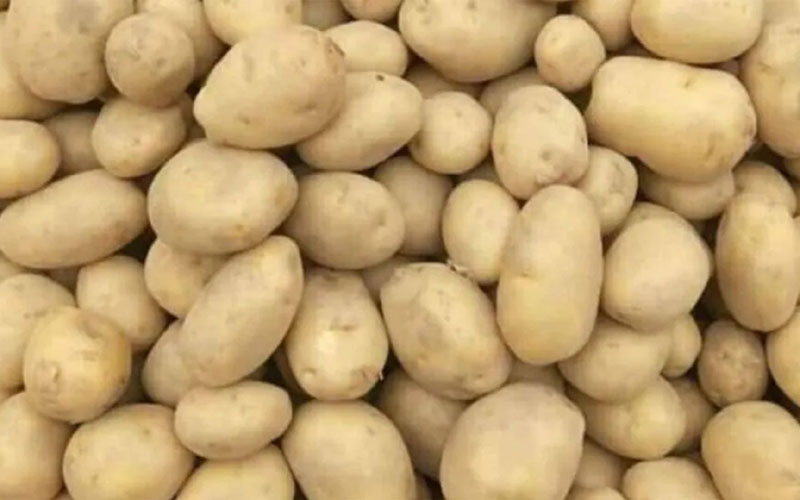 বেনাপোল দিয়ে ভারত থেকে এলো ৪৬৮ টন আলু