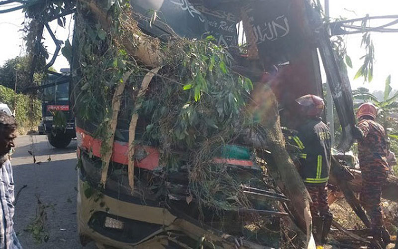 বাস নিয়ন্ত্রণ হারিয়ে গাছের সঙ্গে ধাক্কা, নিহত ৩