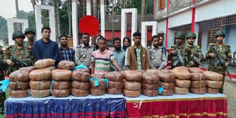 গৌরীপুরে যৌথবাহিনীর অভিযানে ১৪২ কেজি গাঁজা উদ্ধার
