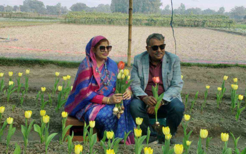 তেঁতুলিয়া টিউলিপ ফুলের সৌন্দর্যের দ্বীপ