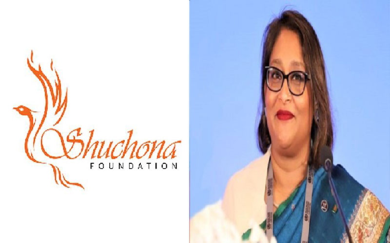 অস্তিত্ব মেলেনি পুতুলের সূচনা ফাউন্ডেশনের