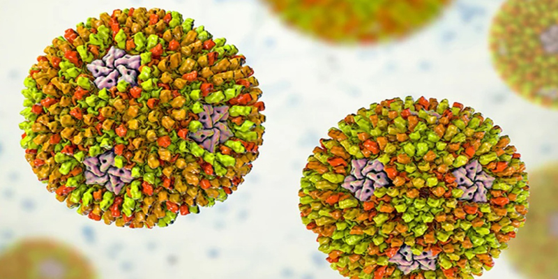 দেশে ৫ জনের শরীরে প্রথমবার রিওভাইরাস শনাক্ত, জেনে নিন লক্ষণগুলো