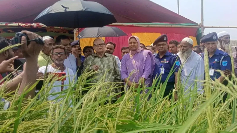 সরকারের কাছে যথেষ্ট খাদ্যশস্য মজুদ রয়েছে: আলী ইমাম মজুমদার