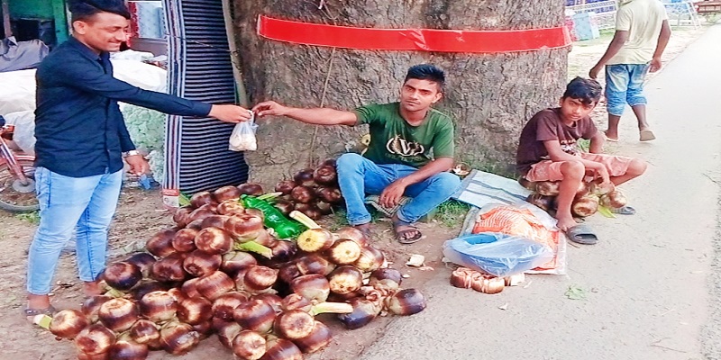 শেষ বৈশাখে বাজারে এসেছে পুষ্টিগুণ সমৃদ্ধ তালের শাঁস