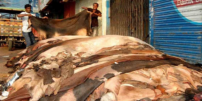 কোরবানির পশুর চামড়ার নতুন দাম নির্ধারণ