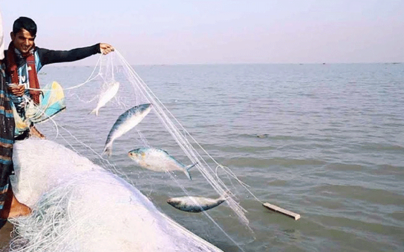 আজ মধ্যরাতে উঠছে নিষেধাজ্ঞা, মাছ শিকার শুরু জেলেদের