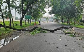 গোপালগঞ্জে কারফিউ, সকালে সড়কে-বাজারে লোকজন কম