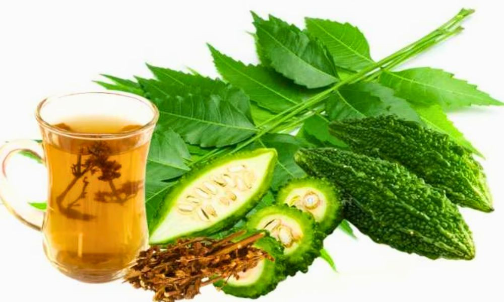 তিতা খাওয়া ভালো, তবে যে কারণে হতে পারে বিপদ