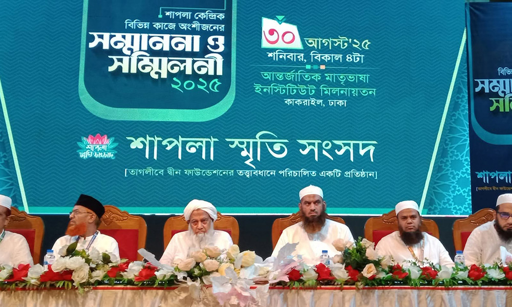 শাপলার চেতনা আগামীর বাংলাদেশের মাইলফলক : মামুনুল হক