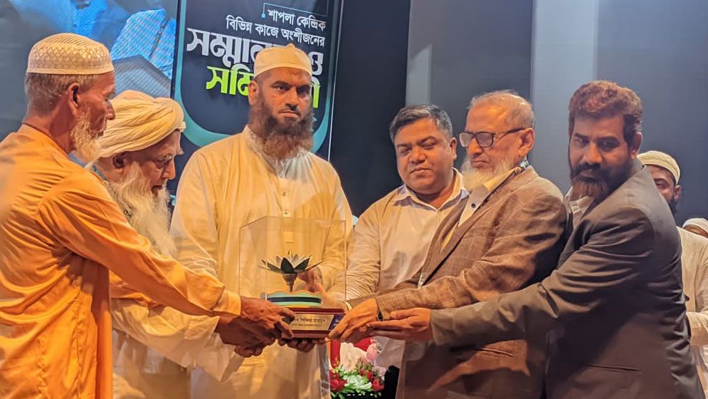 শাপলার চেতনা আগামীর বাংলাদেশের মাইলফলক : মামুনুল হক