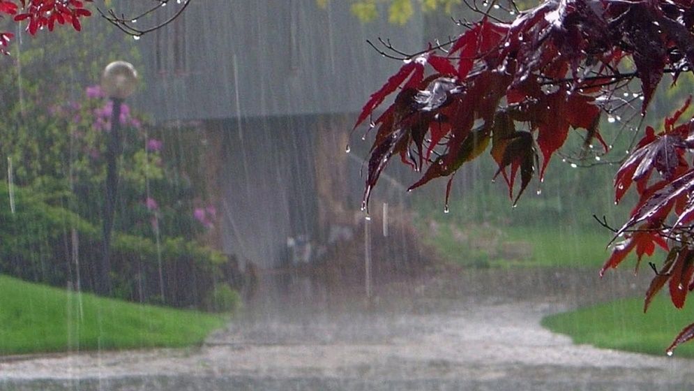 টানা ৫ দিন অতি ভারি বর্ষণের পূর্বাভাস
